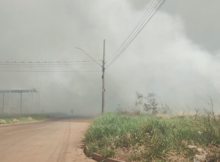 Quase 30% dos inc&ecirc;ndios em vegeta&ccedil;&atilde;o do ano ocorreram em 19 dias de agosto