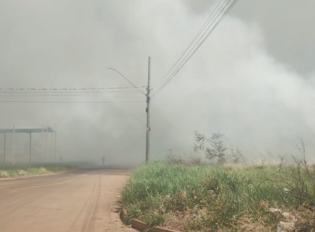 Quase 30% dos inc&ecirc;ndios em vegeta&ccedil;&atilde;o do ano ocorreram em 19 dias de agosto