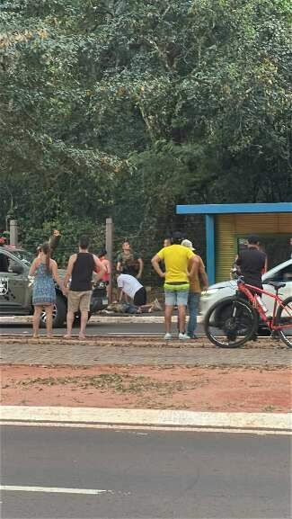 Campo Grande News