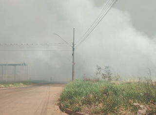 Quase 30% dos incêndios em vegetação do ano ocorreram em 19 dias de agosto Quase 30% dos incêndios em vegetação do ano ocorreram em 19 dias de agosto
