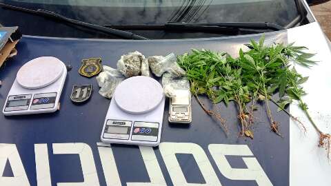 Suspeito de plantar maconha em terreno perto do trabalho &eacute; preso