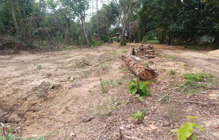 Na mira do MP, obras em pesqueiros e ranchos agravam degradação do Rio Taquari Na mira do MP, obras em pesqueiros e ranchos agravam degradação do Rio Taquari