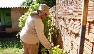 Com 10 mil casos de chikungunya, MS prepara saúde para efeitos do El Niño Com 10 mil casos de chikungunya, MS prepara saúde para efeitos do El Niño