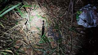 Suspeito de invadir casa de idosa morre baleado no Carandá Bosque Suspeito de invadir casa de idosa morre baleado no Carandá Bosque