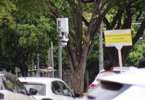 Moradora de Coxim denuncia multa "fantasma" em Campo Grande 