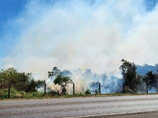 Cena corriqueira atualmente, incêndio em terreno é combatido com baldes de água Cena corriqueira atualmente, incêndio em terreno é combatido com baldes de água