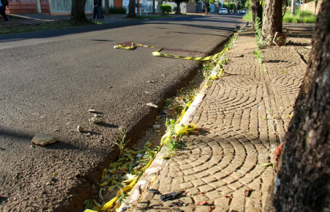 Idoso pega moto sem dono perceber, bate em &aacute;rvore e morre em Campo Grande