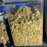 Preso por fazer &ldquo;disk droga&rdquo;, jovem j&aacute; havia sido condenado pelo mesmo crime