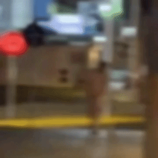 "Pelad&atilde;o" corre pela Rua Cear&aacute; e quase &eacute; atropelado por motorista
