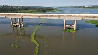 Macrófitas do Rio Pardo chegam a Bataguassu e formam extensa mancha verde Macrófitas do Rio Pardo chegam a Bataguassu e formam extensa mancha verde