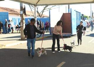 Vacina, exames, medicamento e castração: mutirão atende pets no Oliveira II Vacina, exames, medicamento e castração: mutirão atende pets no Oliveira II