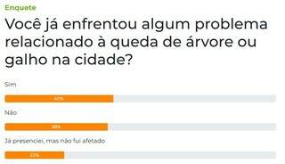 Queda de galhos e de árvore já gerou problemas para 40% dos leitores Queda de galhos e de árvore já gerou problemas para 40% dos leitores