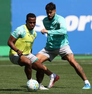 Domingo de Brasileir&atilde;o tem l&iacute;der Palmeiras em campo e duelo direto contra o Z-4