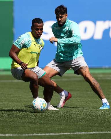 Domingo de Brasileir&atilde;o tem l&iacute;der Palmeiras em campo e duelo direto contra o Z-4