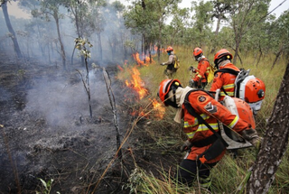 Desigualdade define capacidade de enfrentar incêndios no Pantanal Desigualdade define capacidade de enfrentar incêndios no Pantanal