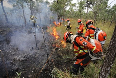 Desigualdade define capacidade de enfrentar inc&ecirc;ndios no Pantanal