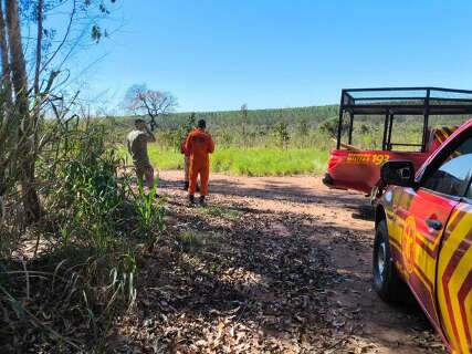 Corpo &eacute; encontrado em &aacute;rea de eucaliptos e morte ainda ser&aacute; esclarecida