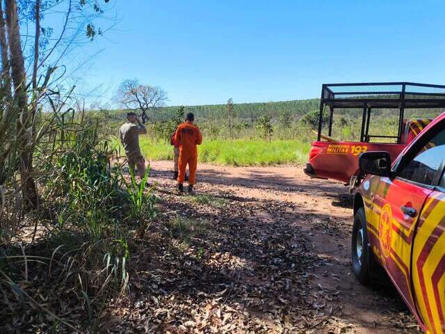Corpo de homem de 47 anos &eacute; encontrado em &aacute;rea de eucaliptos 