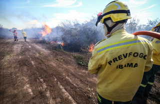 Desigualdade define capacidade de enfrentar incêndios no Pantanal Desigualdade define capacidade de enfrentar incêndios no Pantanal