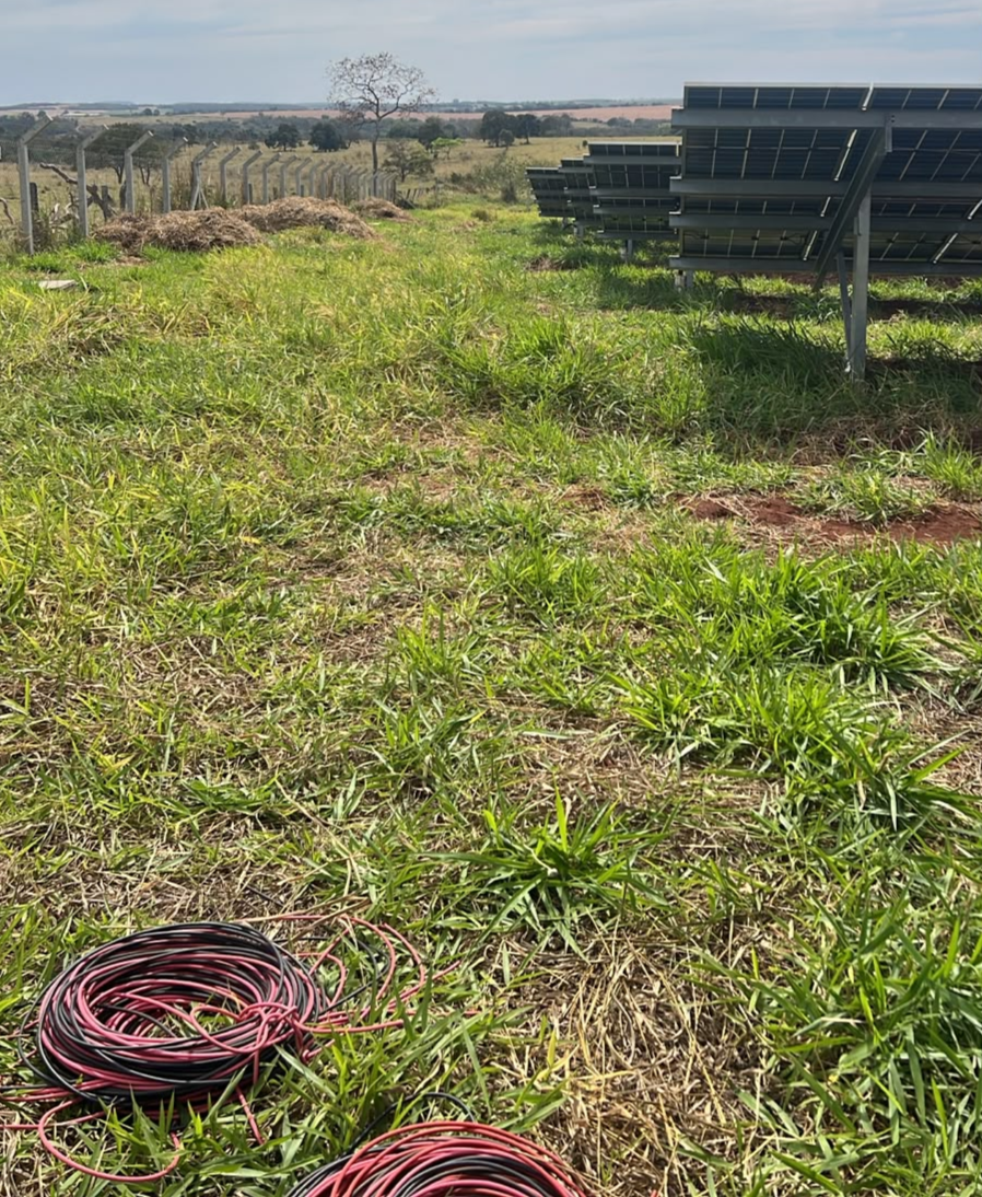 Image for Grupo é preso após furto em usina fotovoltaica às margens da rodovia