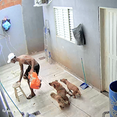 V&iacute;deos mostram sequ&ecirc;ncia de furtos e suspeito circulando com TV pelas ruas