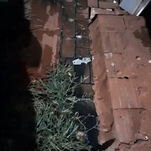Fossa de condom&iacute;nio vaza h&aacute; 5 anos e incomoda moradores no Jardim Columbia 