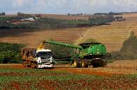 Nova regra pode facilitar renegociação de dívidas de produtores rurais
