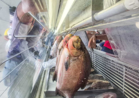 Estado abre 15 dias de campanha de pre&ccedil;os para turbinar venda de pescado