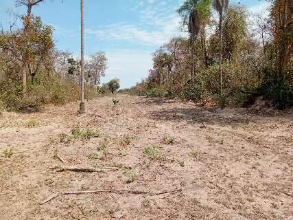 Ibama multa 5 fazendeiros em R$ 22,5 milh&otilde;es por inc&ecirc;ndios no Pantanal