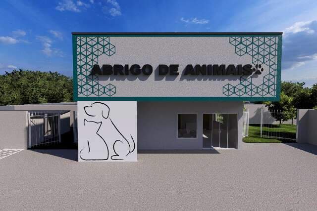 Prefeitura autoriza cria&ccedil;&atilde;o de 1&ordm; abrigo municipal para animais de MS