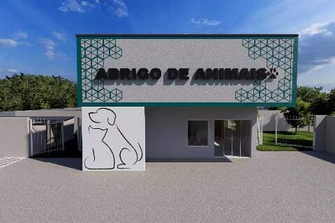 Prefeitura autoriza cria&ccedil;&atilde;o de 1&ordm; abrigo municipal para animais de MS