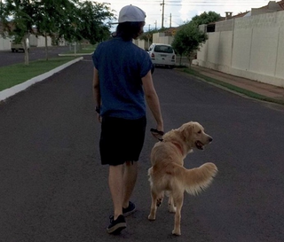 Ap&oacute;s perder amigo, Ronaldo viu nos cactos uma nova raz&atilde;o para sorrir