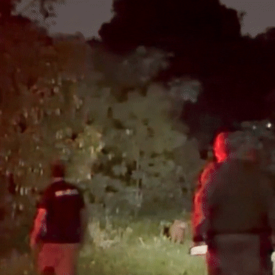 Mesmo ferida, capivara com flecha cravada escapa de captura e resgate &eacute; adiado