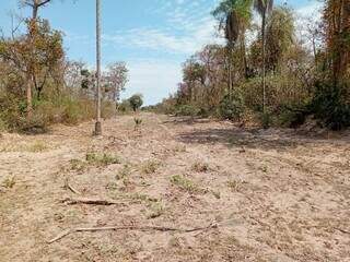 Ibama multa 5 fazendeiros em R$ 22,5 milhões por incêndios no Pantanal Ibama multa 5 fazendeiros em R$ 22,5 milhões por incêndios no Pantanal