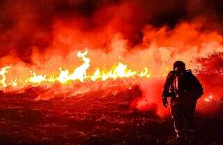 &Aacute;rea queimada recua, mas per&iacute;odo cr&iacute;tico para inc&ecirc;ndios preocupa em MS