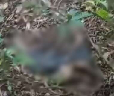 Corpo em decomposi&ccedil;&atilde;o &eacute; encontrado perto do Horto Florestal