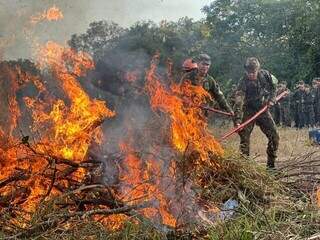 &Aacute;rea queimada recua, mas per&iacute;odo cr&iacute;tico para inc&ecirc;ndios preocupa em MS