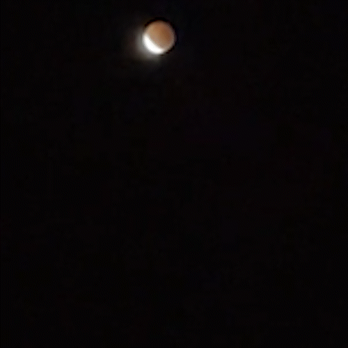 Olhe para o c&eacute;u: tempo ajuda e eclipse muda a madrugada