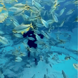 Encontro com cardume surpreende durante flutua&ccedil;&atilde;o no rio Olho D&rsquo;&Aacute;gua