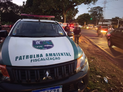 Prefeitura diz que "gato" foi achado em sarau barrado por fiscaliza&ccedil;&atilde;o
