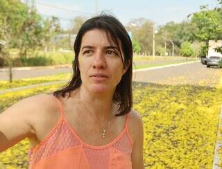 Ip&ecirc; vira atra&ccedil;&atilde;o com &ldquo;neve&rdquo; de p&eacute;talas amarelas em Campo Grande