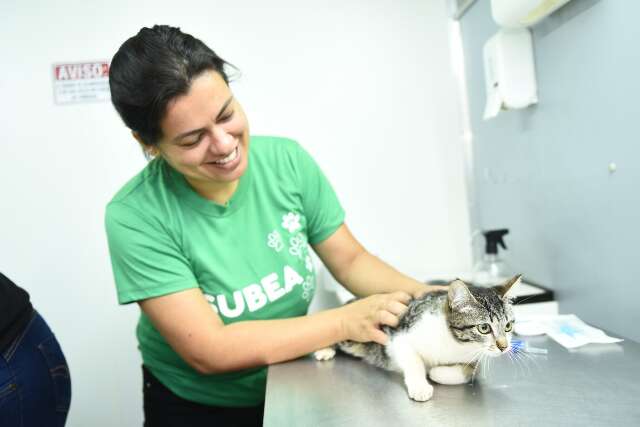 Consult&oacute;rio veterin&aacute;rio atende regi&atilde;o do Jardim Aeroporto na pr&oacute;xima semana
