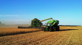 Agro cresce 2,8% e segura avanço do PIB brasileiro no segundo trimestre Agro cresce 2,8% e segura avanço do PIB brasileiro no segundo trimestre