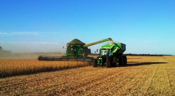 Agro cresce 2,8% e segura avan&ccedil;o do PIB brasileiro no segundo trimestre