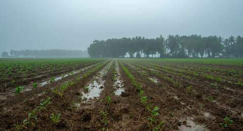 El Ni&ntilde;o acende alerta e Embrapa lista 163 medidas para proteger a safra
