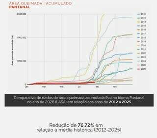 Área queimada no Pantanal fica 76% abaixo da média histórica Área queimada no Pantanal fica 76% abaixo da média histórica
