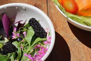 Chega de salada sem graça, tem mato no quintal que salva o prato Chega de salada sem graça, tem mato no quintal que salva o prato