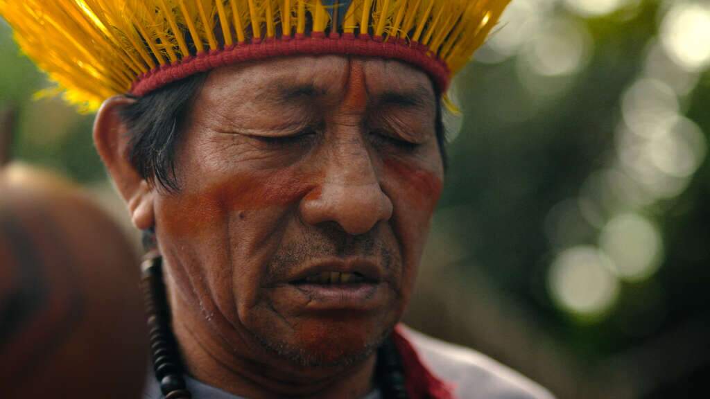 Depois de retomar a terra, indígenas criam brigada para protegê-la do fogo