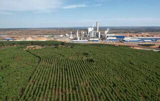 ICMBio cria reserva de 1,2 mil hectares de Cerrado em Ribas do Rio Pardo ICMBio cria reserva de 1,2 mil hectares de Cerrado em Ribas do Rio Pardo