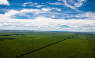 ICMBio cria reserva de 1,2 mil hectares de Cerrado em Ribas do Rio Pardo ICMBio cria reserva de 1,2 mil hectares de Cerrado em Ribas do Rio Pardo